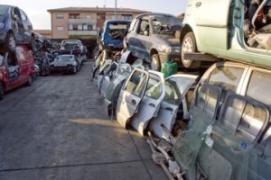 Smaltimento Sfalci e Potature Roma